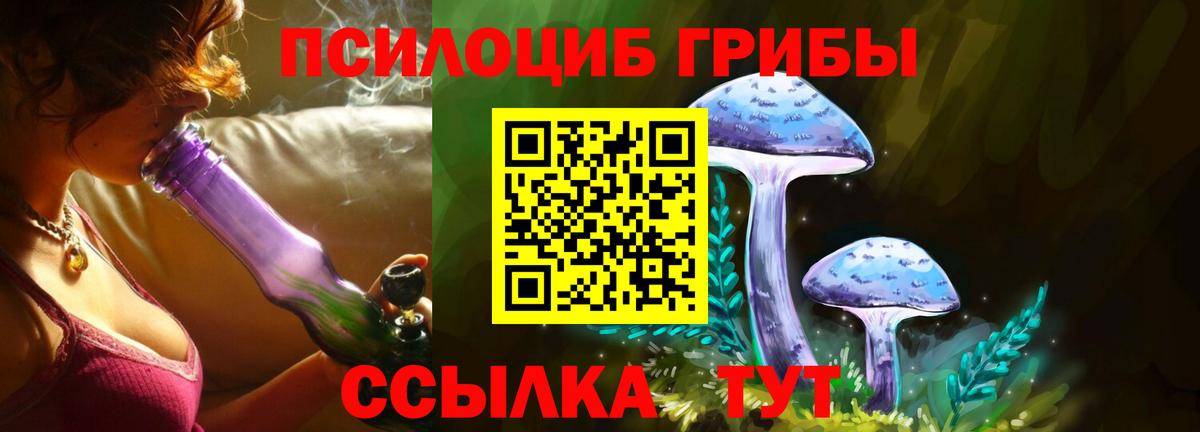 Ипатово  даркнет сайт  Галлюциногенные грибы GOLDEN TEACHER  Вход с VPN  Псилоцибиновые грибы Magic Shrooms 